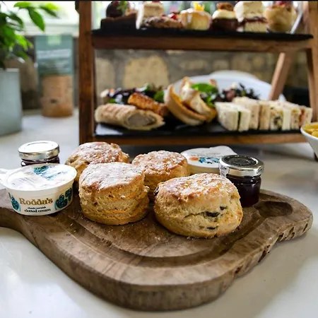 Готель Old Down Manor *